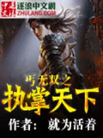 ؤ��˫ִ֮������