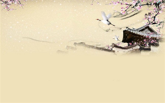 ������󲻾���ѧ����