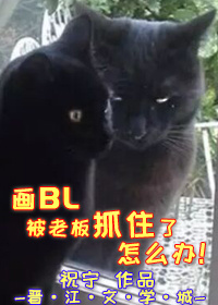 ��BL���ϰ�ץס����ô��