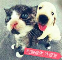 �δ�����